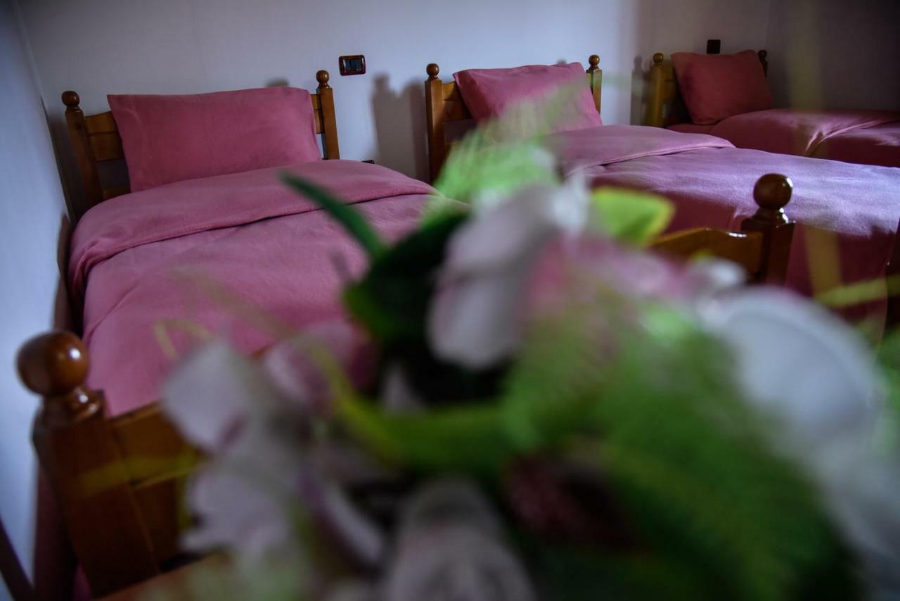 Villa Garden Shkodra 外观 照片