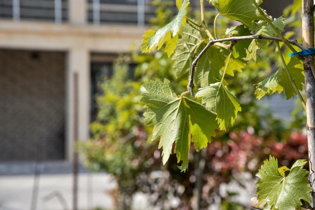 Villa Garden Shkodra 外观 照片