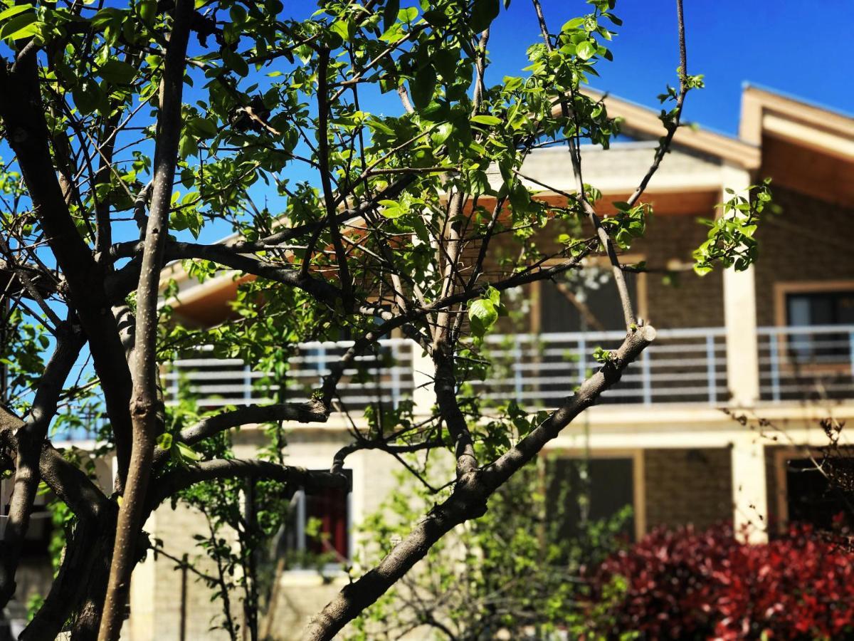Villa Garden Shkodra 外观 照片